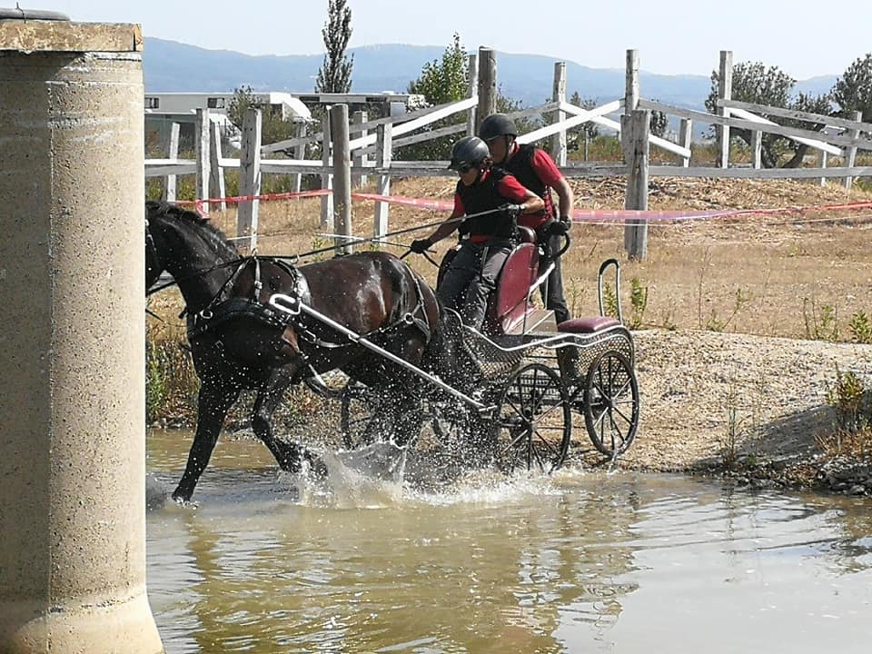 3ª Fase y Final del Campeonato Navarra de Enganches Indoor en La Pinturita de Olite